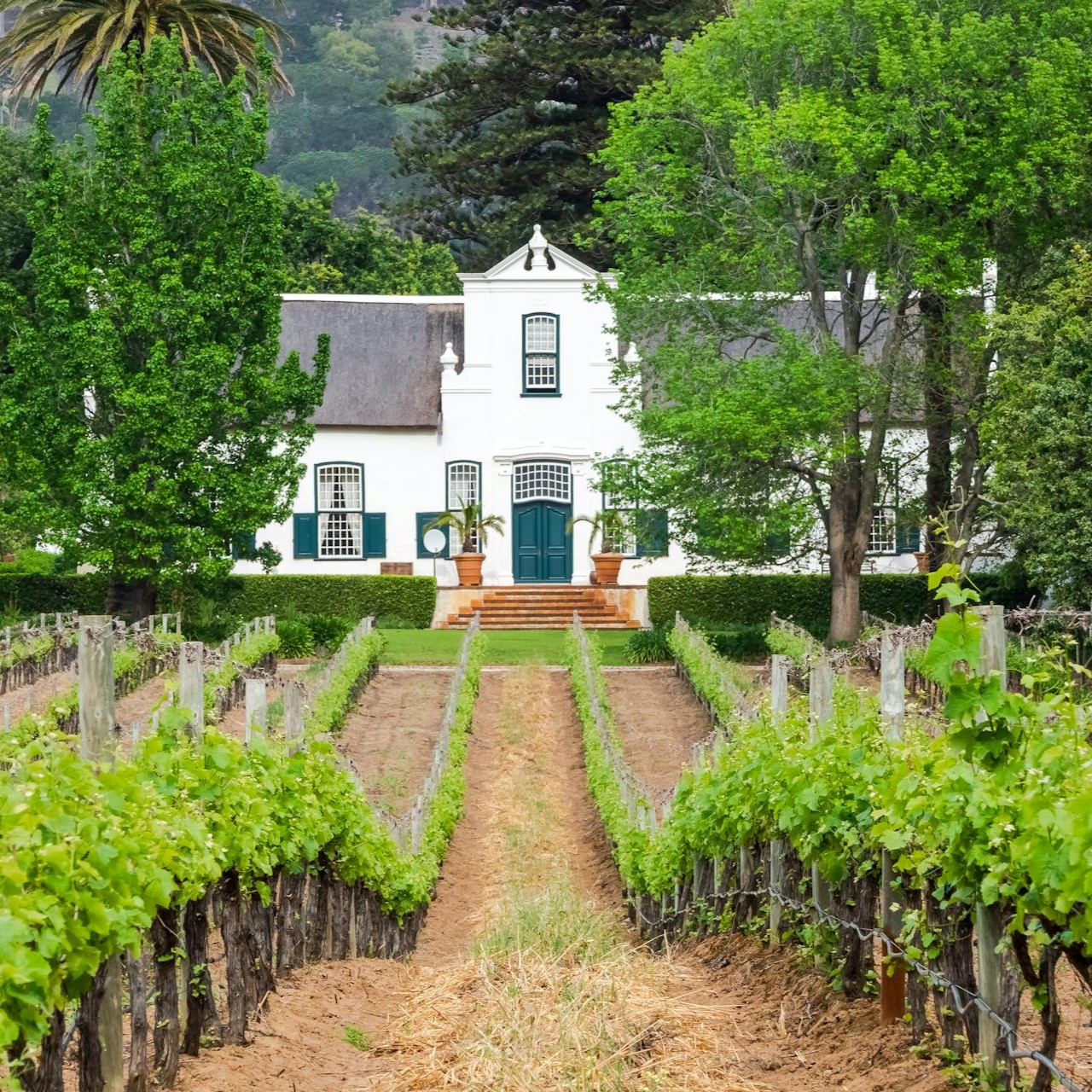 Private Winelands Tour